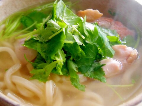 鶏肉と三つ葉でフォー風うどん